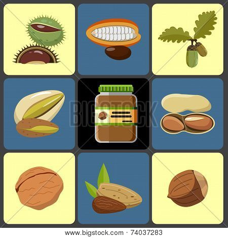 Nuts Icons Set