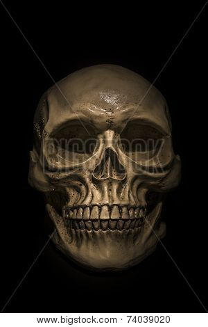 Spooky Skull On Black Background