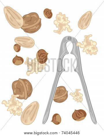 Nuts And Nutcrackers