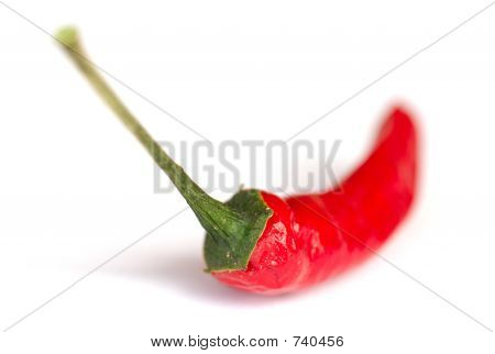 Red Chili Pepper
