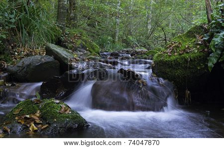 Clear Water