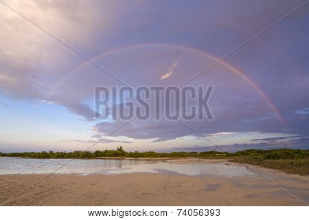 Island Rainbow