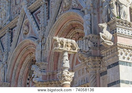Statue Of The She-wolf Of Siena (italy)