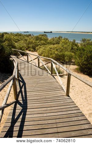 Wooden Path