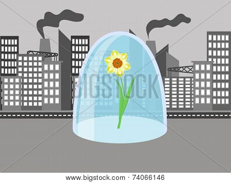 Flower In The City