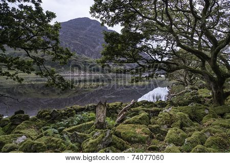 Landscape Image Of Mountain Reflected In Still Lake On Summer Morning