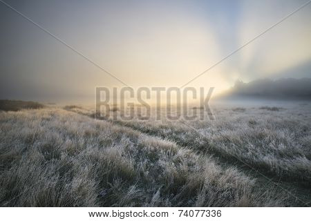Stunning Sun Beams Light Up Fog Through Thick Fog Of Autumn Fall Frosty Landscape