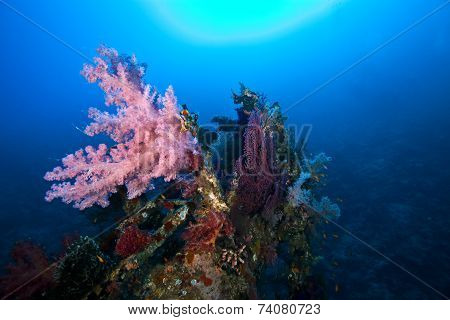 deep wreck scuba diving wreck