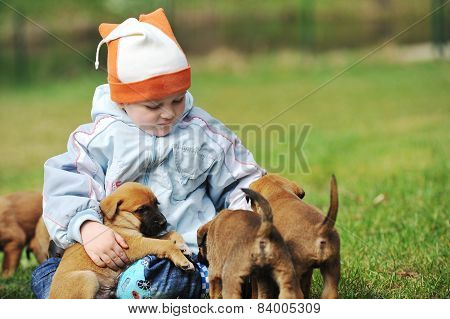 Little Boy With  Puppies