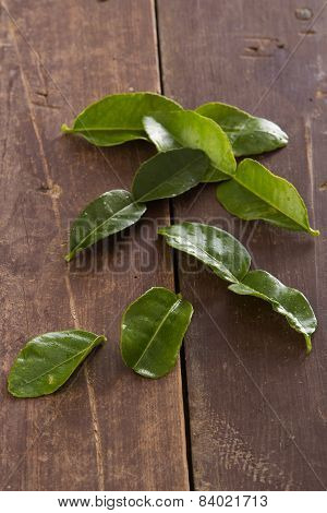 Kafir Lime