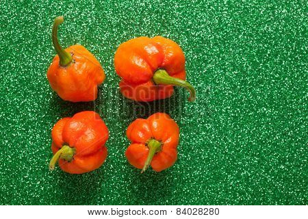 Trinidad Moruga Scorpion Pepper