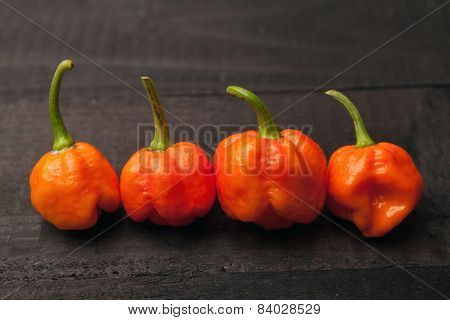 Trinidad Moruga Scorpion Pepper