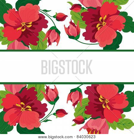Frame With Floral Background