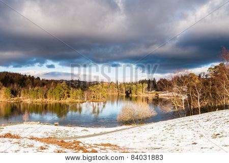 Tarn Hows In Winter