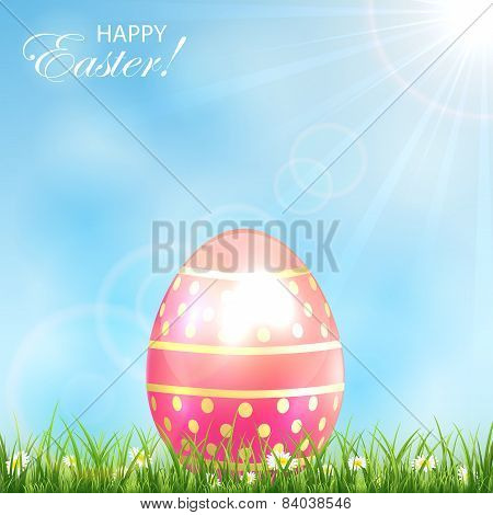 Pink Easter Egg In A Grass