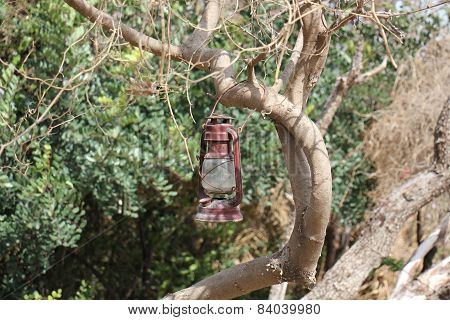 lantern