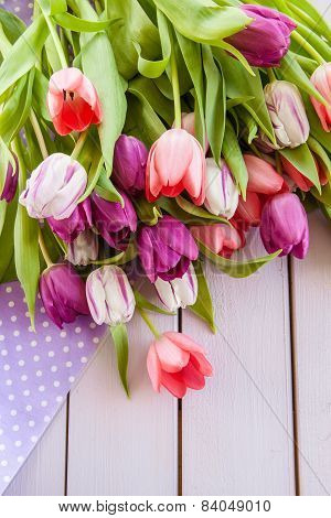 Colorful Tulips On Purple