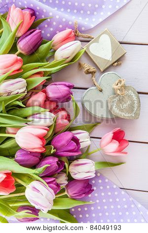 Colorful Tulips On Purple