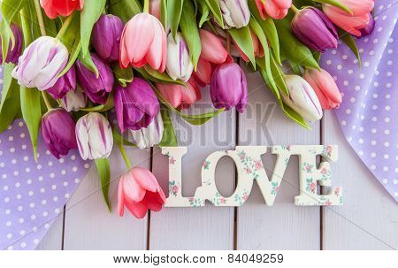 Colorful Tulips On Purple