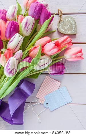 Colorful Tulips On Purple