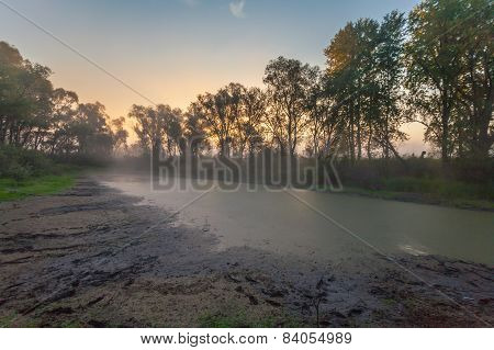 Beautiful Mystical Landscape