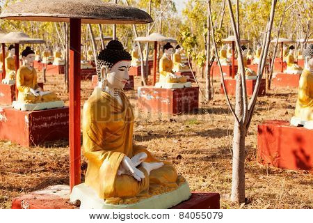 Sitting Buddha statues beneath a Bodhi tree in Monywa Myanmar.