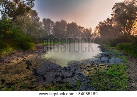 Beautiful Mystical Landscape