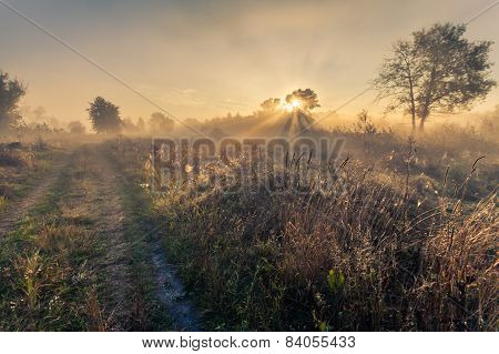 Beautiful Mystical Landscape