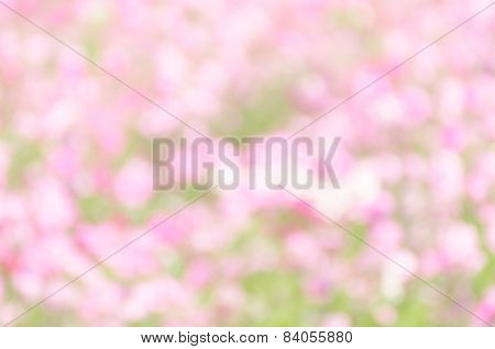 Wallpaper Bokeh Pastel