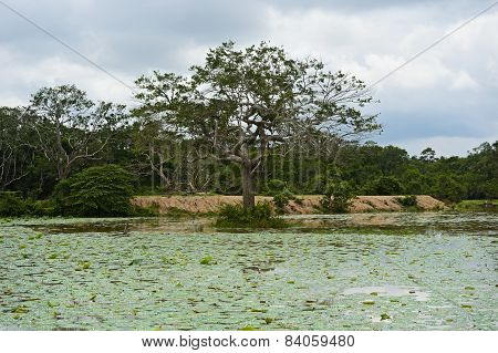 Sri Lanka