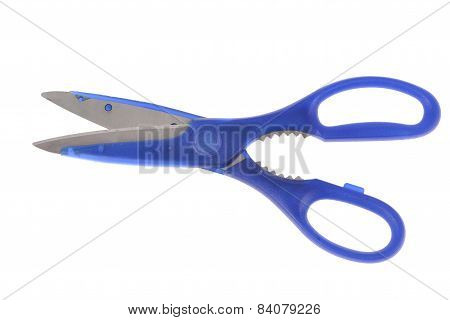 Blue Itchen Scissors