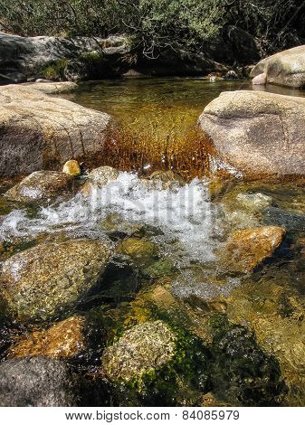 Pedrisa, Comunity Of Madrid, Spain