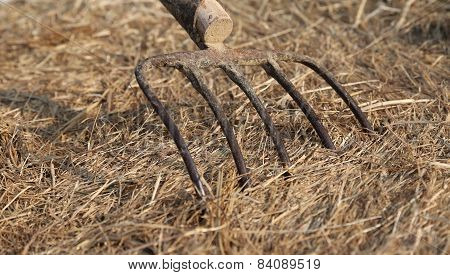 Long Prongs Of Pitchfork On The Hay On The Farm