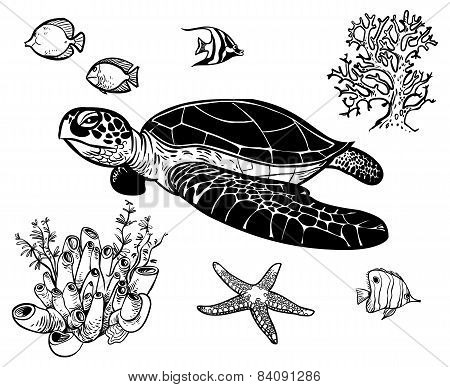 Vector Icon Set With Sea Animals
