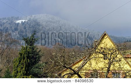 Traditional Alsace Country House, Spring Day
