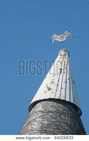 Gull On An Oast House