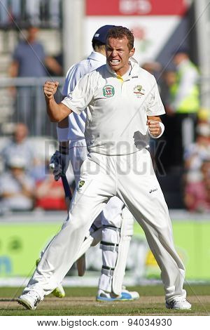 MANCHESTER, ENGLAND - August 02 2013: Peter Siddle celebrates taking the wicket of Joe Root during day two of  the Investec Ashes 3rd test match at Old Trafford Cricket Ground, on August 02, 2013 