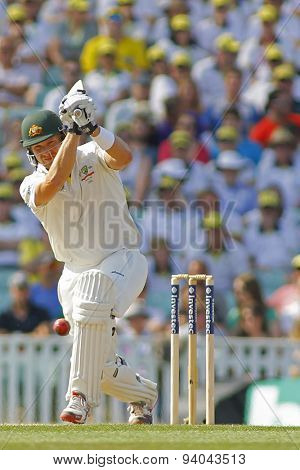 LONDON, ENGLAND - August 22 2013: Ryan Harris bowling during day two of the 5th Investec Ashes cricket match between England and Australia played at The Kia Oval Cricket Ground