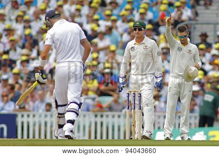 LONDON, ENGLAND - August 22 2013: Ryan Harris bowling during day two of the 5th Investec Ashes cricket match between England and Australia played at The Kia Oval Cricket Ground