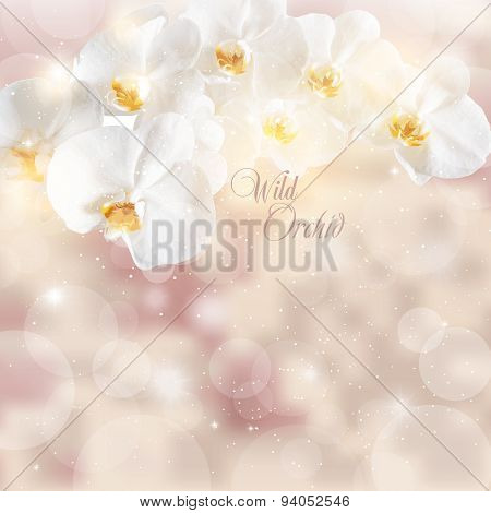 Vector Illustration Of Sprigs Of White Orchids On A Beige Backgr