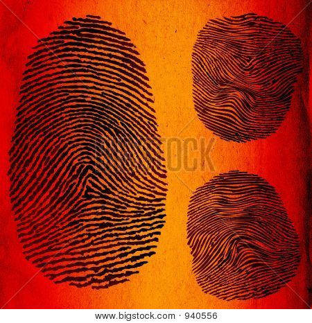 Impronte digitali