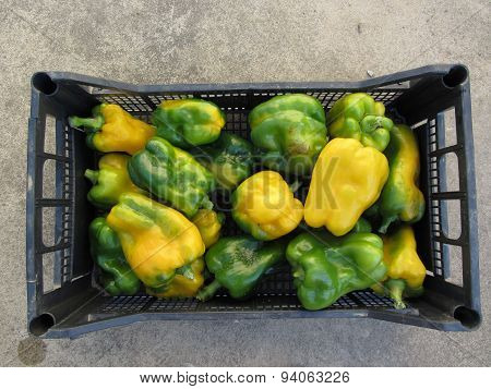 Green And Yellow Peppers In Box