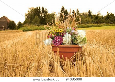 flowers for thanksgiving in cornfield, german tradition after harvest