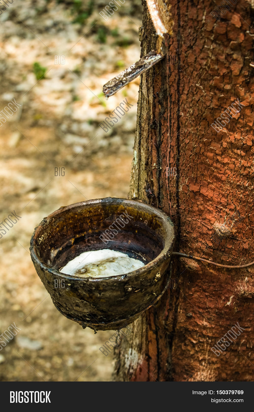 Process Making Rubber Image & Photo (Free Trial) Bigstock