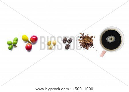 coffee cherries , coffee bean and coffee powder with black coffee in cup on white background