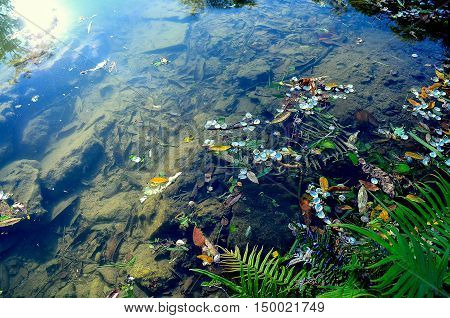 water grass green light colorful outdoor nature sunlight