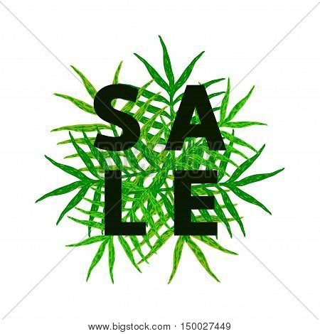 Sale - text with green leaves on the white background