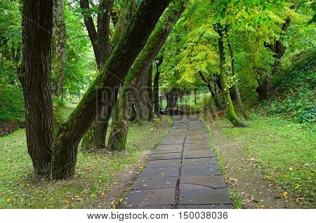 Autumn landscape. Road among trees to Polykovichskoy Krynica Mogilev district Belarus