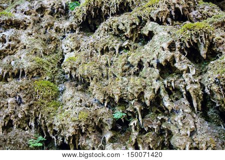 Porous melted flowstone stalagmites on a dry waterfall covered in moss