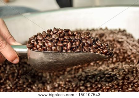 coffee coffee bowler coffee bean color art Roasted coffee beans